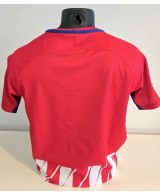 Camiseta Oficial Nike del Atlético de Madrid temporada 2017/18